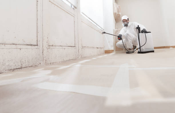 24/7 Emergency Crawl Space Mold Removal experts in Linden, TX